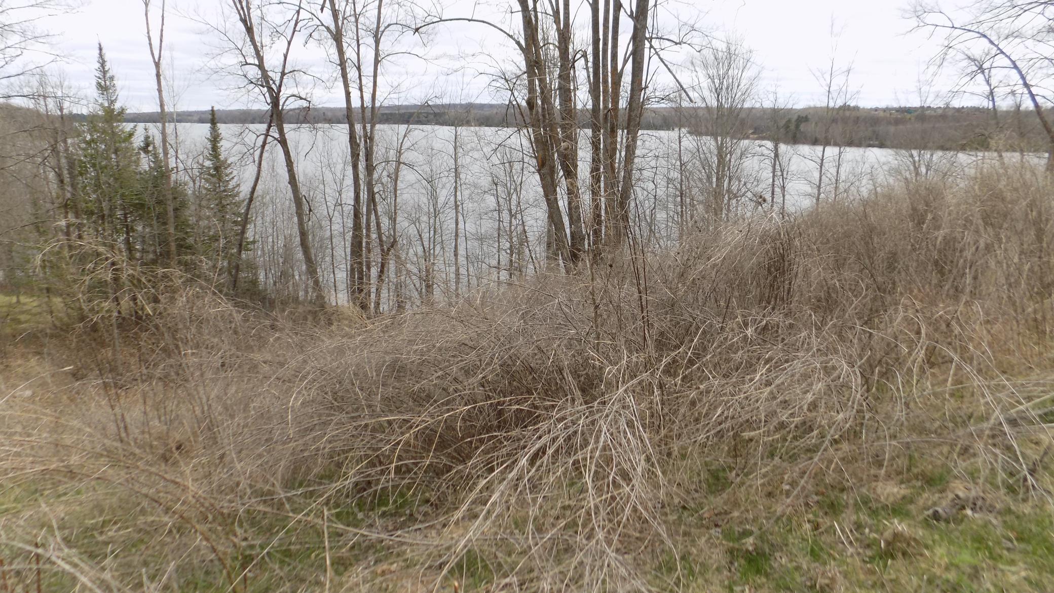 Tbd Bluebill Bay Road Property Photo 5