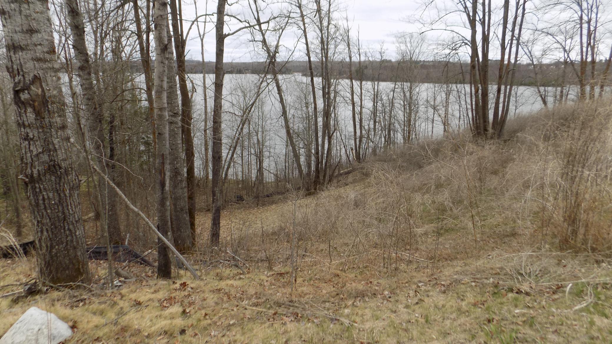 Tbd Bluebill Bay Road Property Photo 6