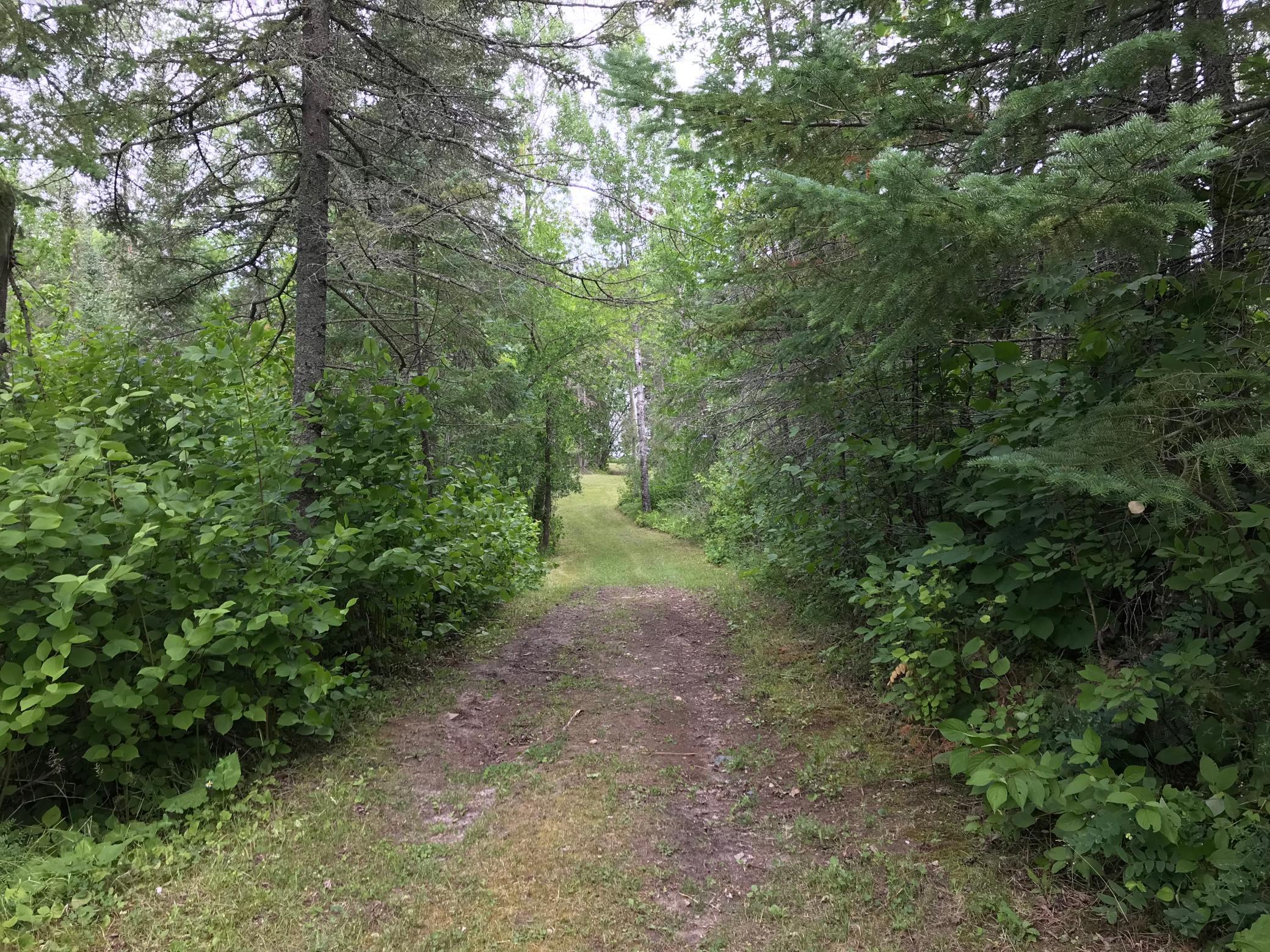 10507 Highway 11 Property Photo 10