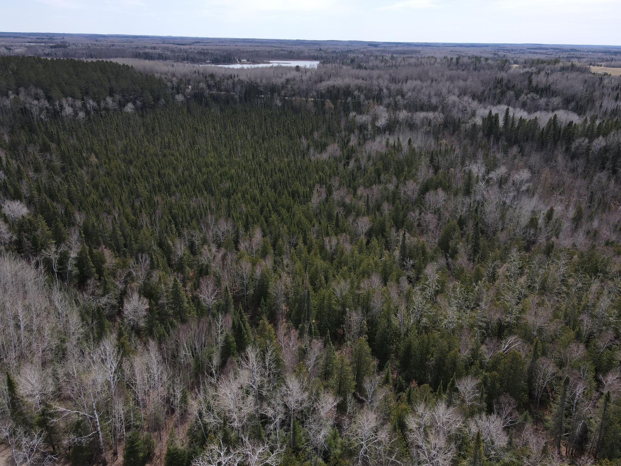 Tbd Co Rd 40 Property Photo 1