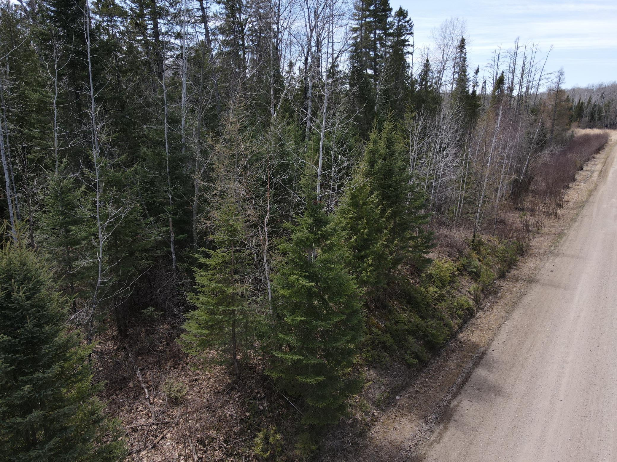 Tbd Co Rd 40 Property Photo 3