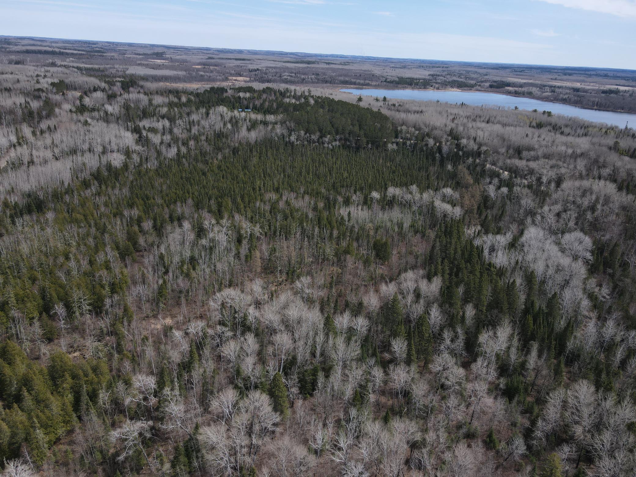 Tbd Co Rd 40 Property Photo 9