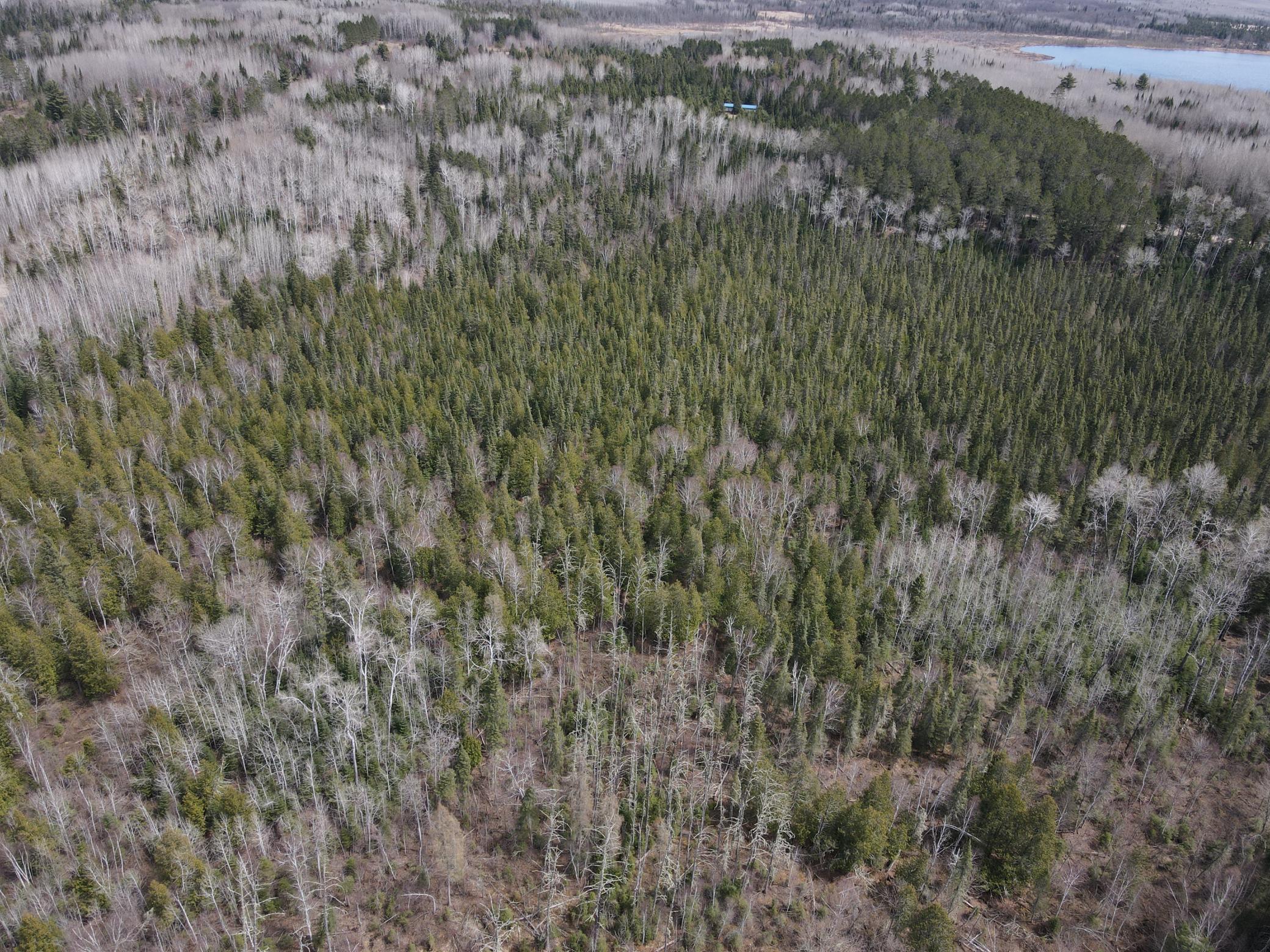 Tbd Co Rd 40 Property Photo 10