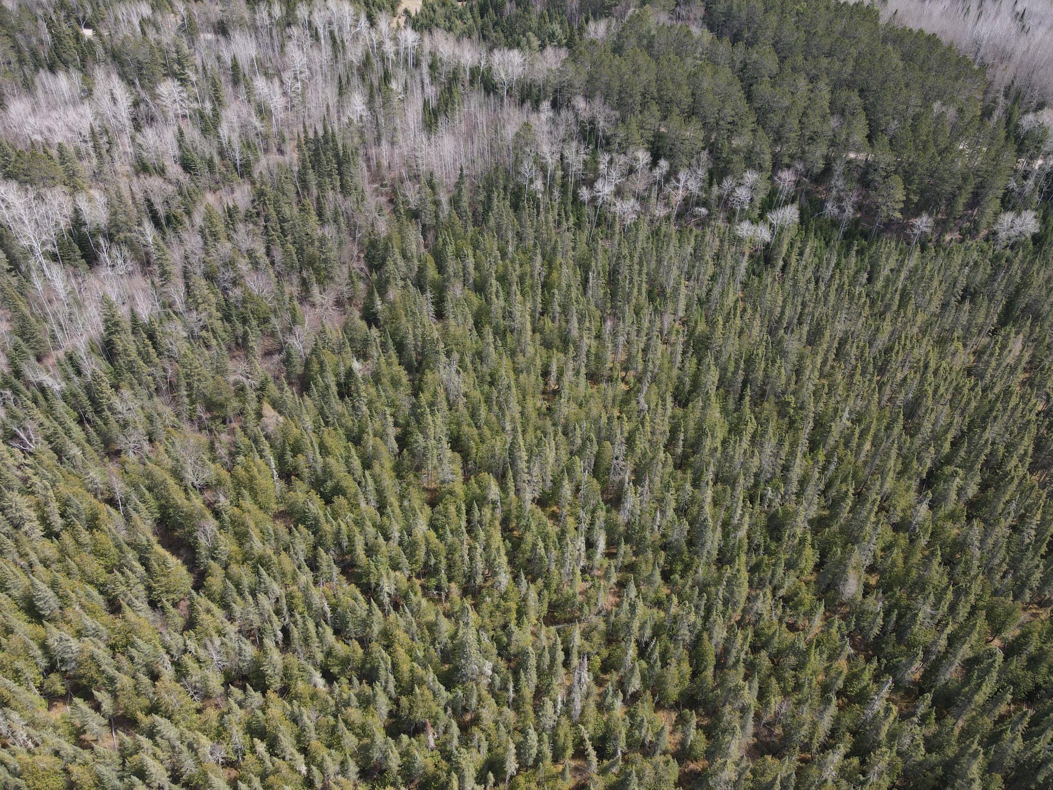 Tbd Co Rd 40 Property Photo 11