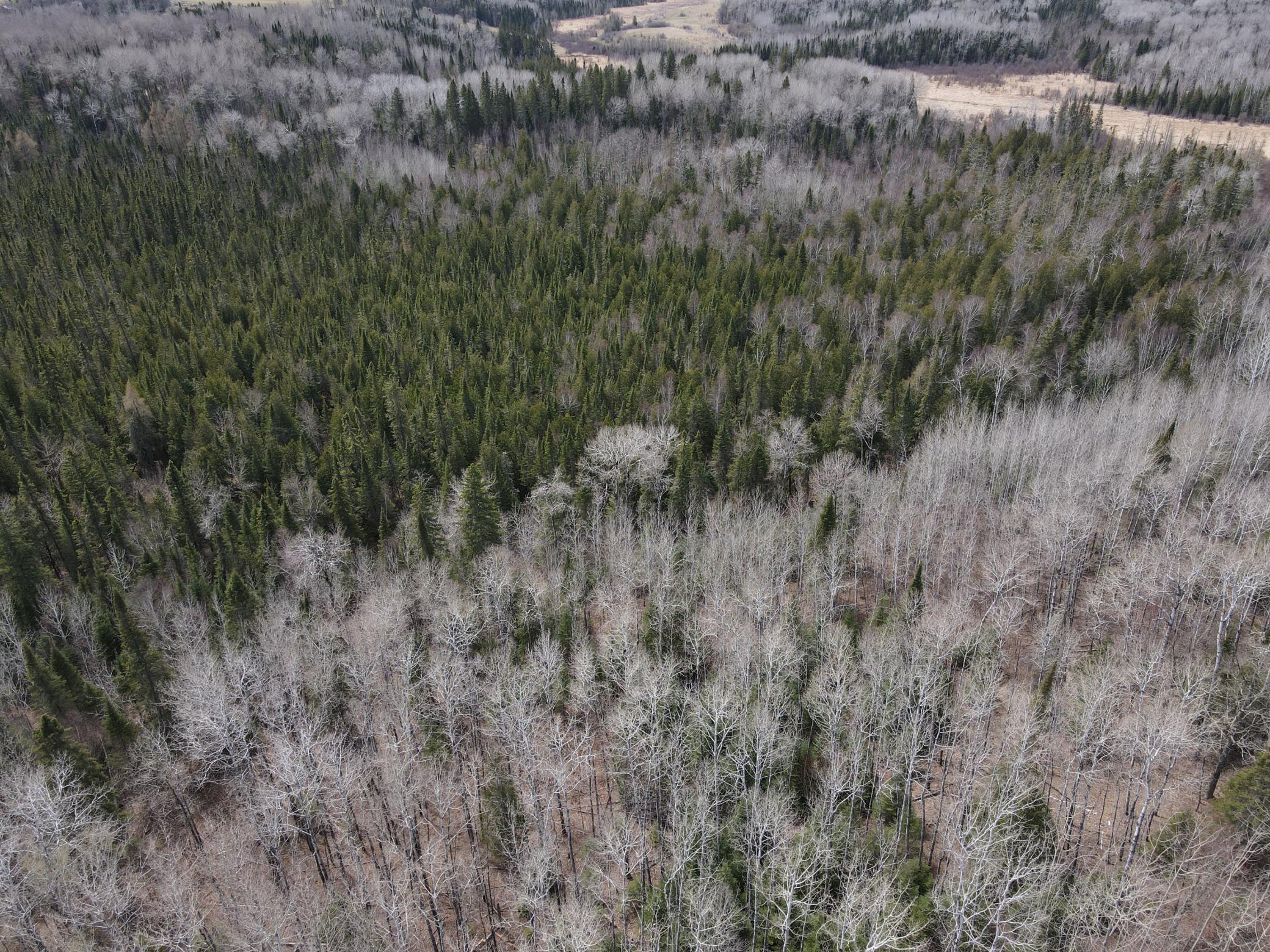Tbd Co Rd 40 Property Photo 14