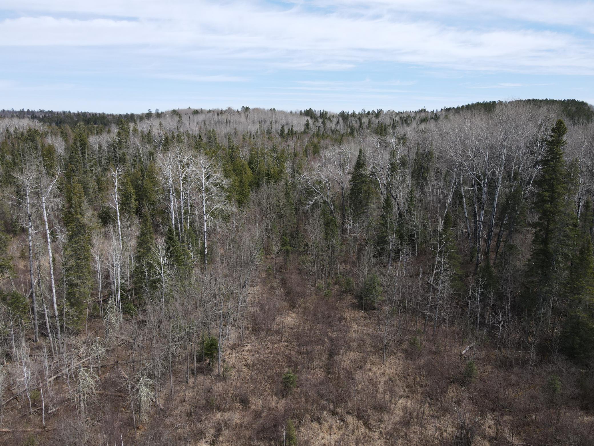 Tbd Co Rd 40 Property Photo 17