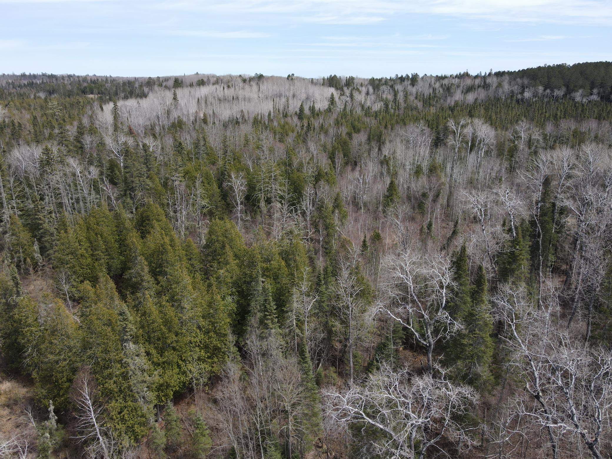 Tbd Co Rd 40 Property Photo 18