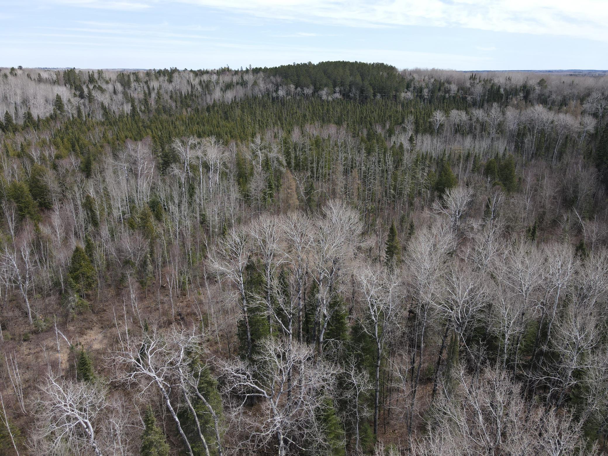 Tbd Co Rd 40 Property Photo 19