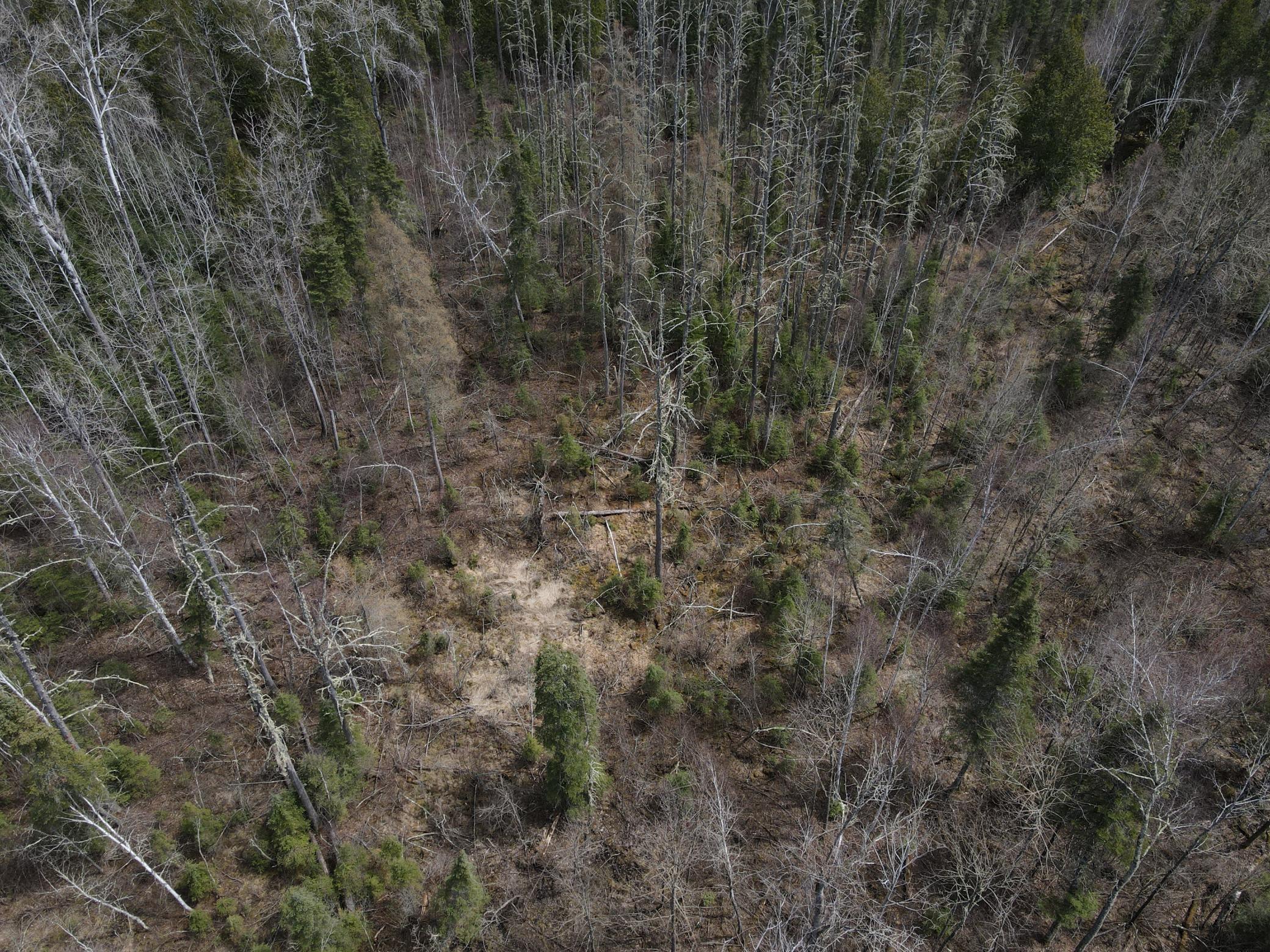 Tbd Co Rd 40 Property Photo 20