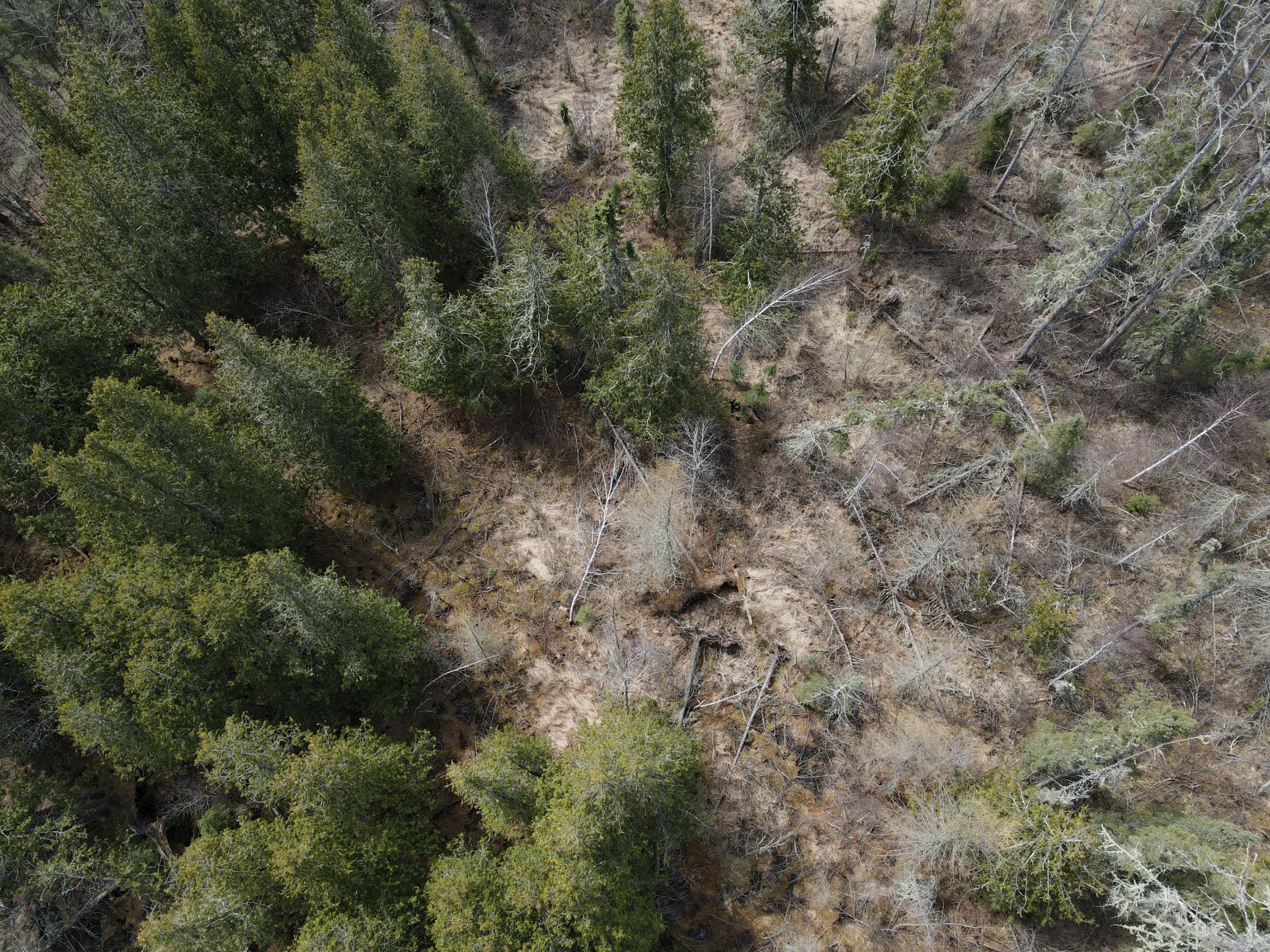 Tbd Co Rd 40 Property Photo 22