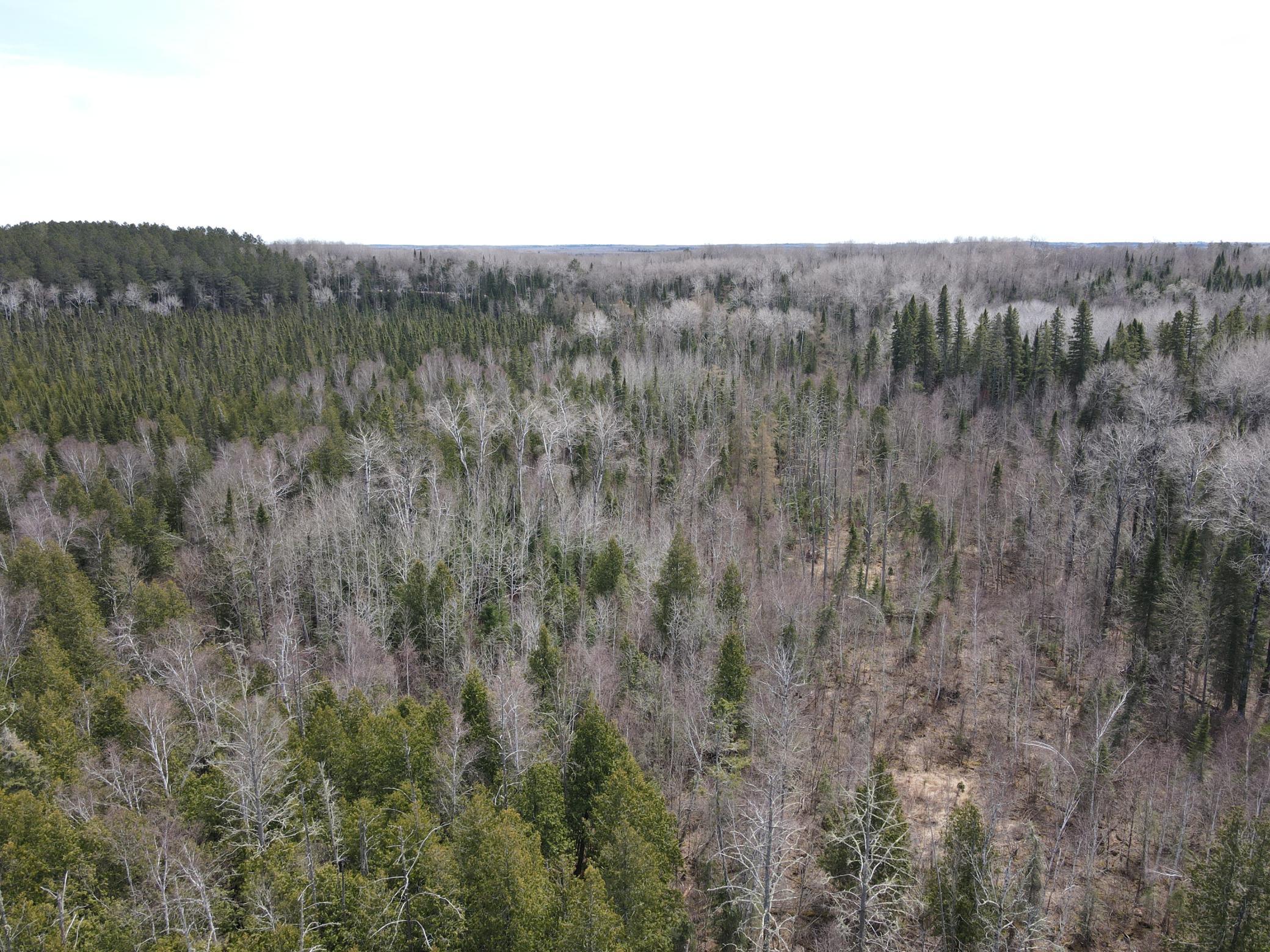 Tbd Co Rd 40 Property Photo 24