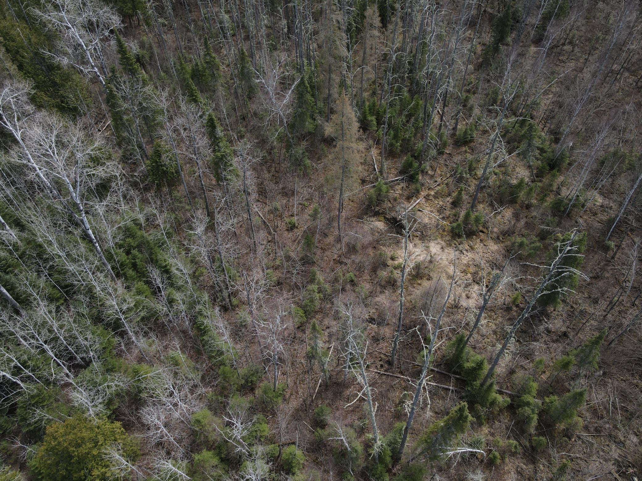 Tbd Co Rd 40 Property Photo 25