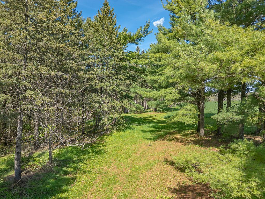 S3565 Rooster Ridge Lane Property Photo 69