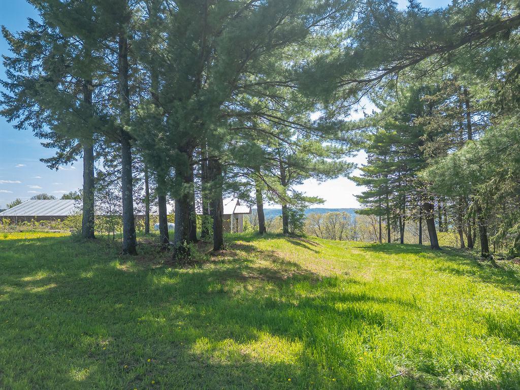 S3565 Rooster Ridge Lane Property Photo 70