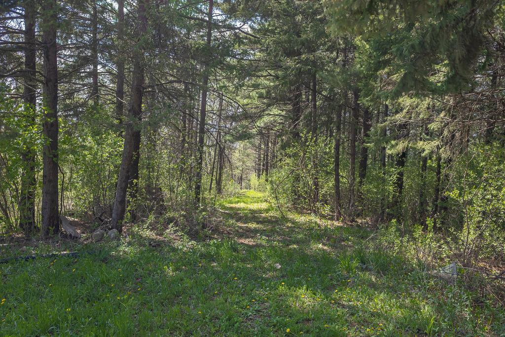 S3565 Rooster Ridge Lane Property Photo 71
