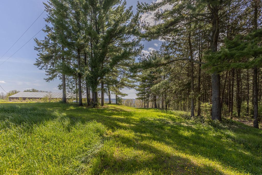S3565 Rooster Ridge Lane Property Photo 72