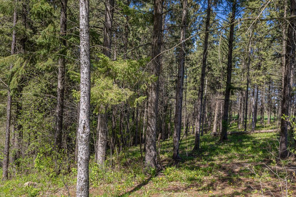 S3565 Rooster Ridge Lane Property Photo 73