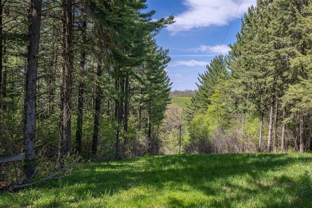 S3565 Rooster Ridge Lane Property Photo 74