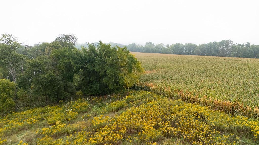 Tbd (lot 2) Goat Back Road Property Photo 1