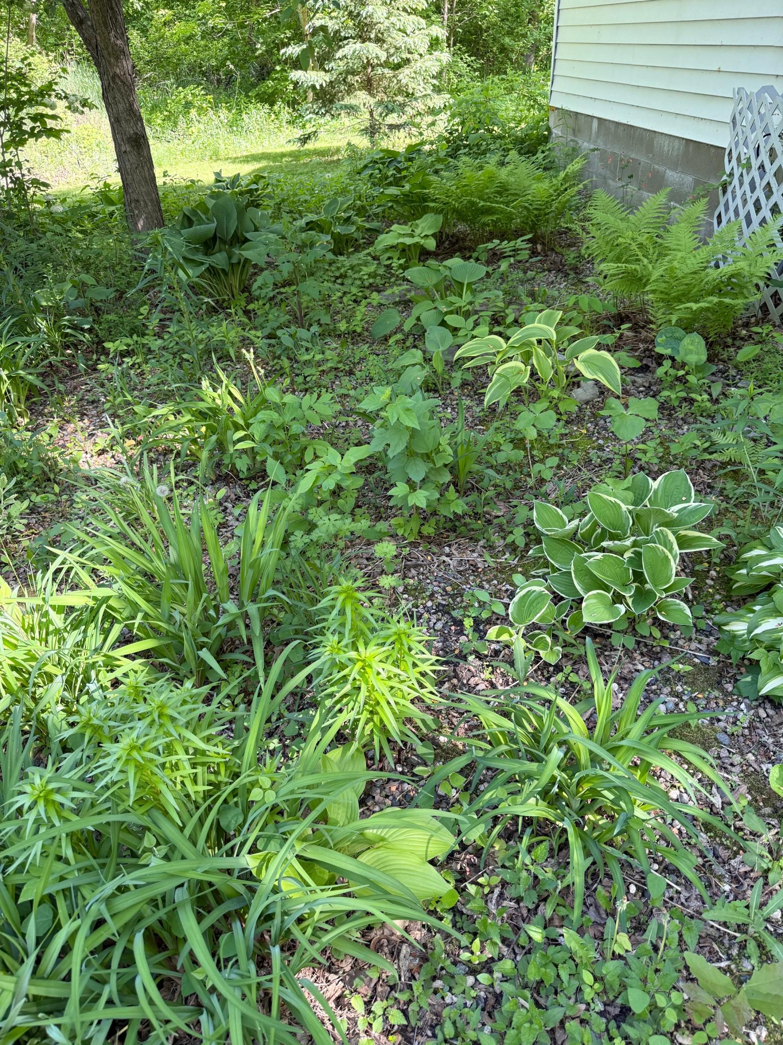 39511 460th Avenue Property Photo 11