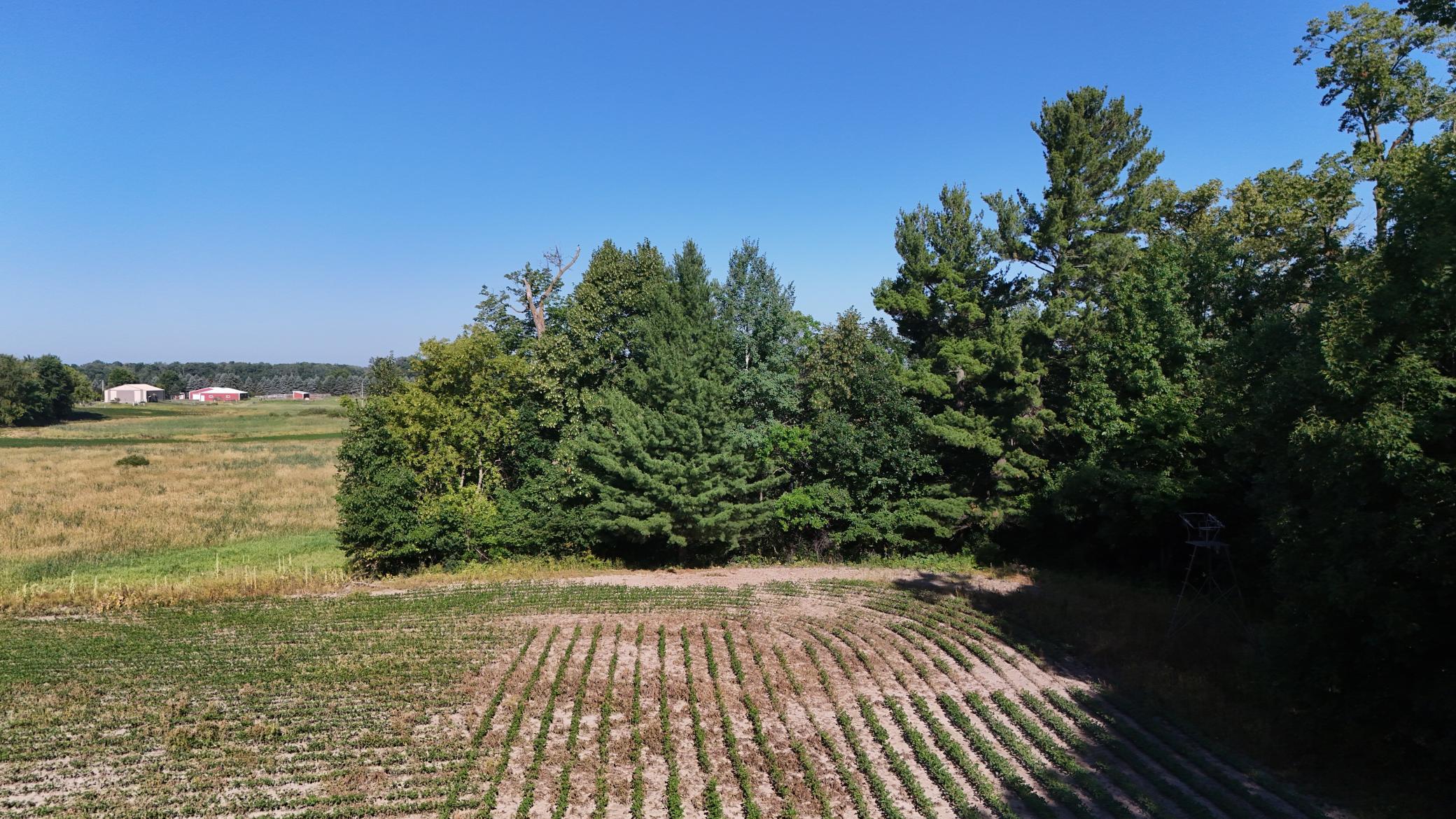 Tbd Nightingale Street Property Photo 25