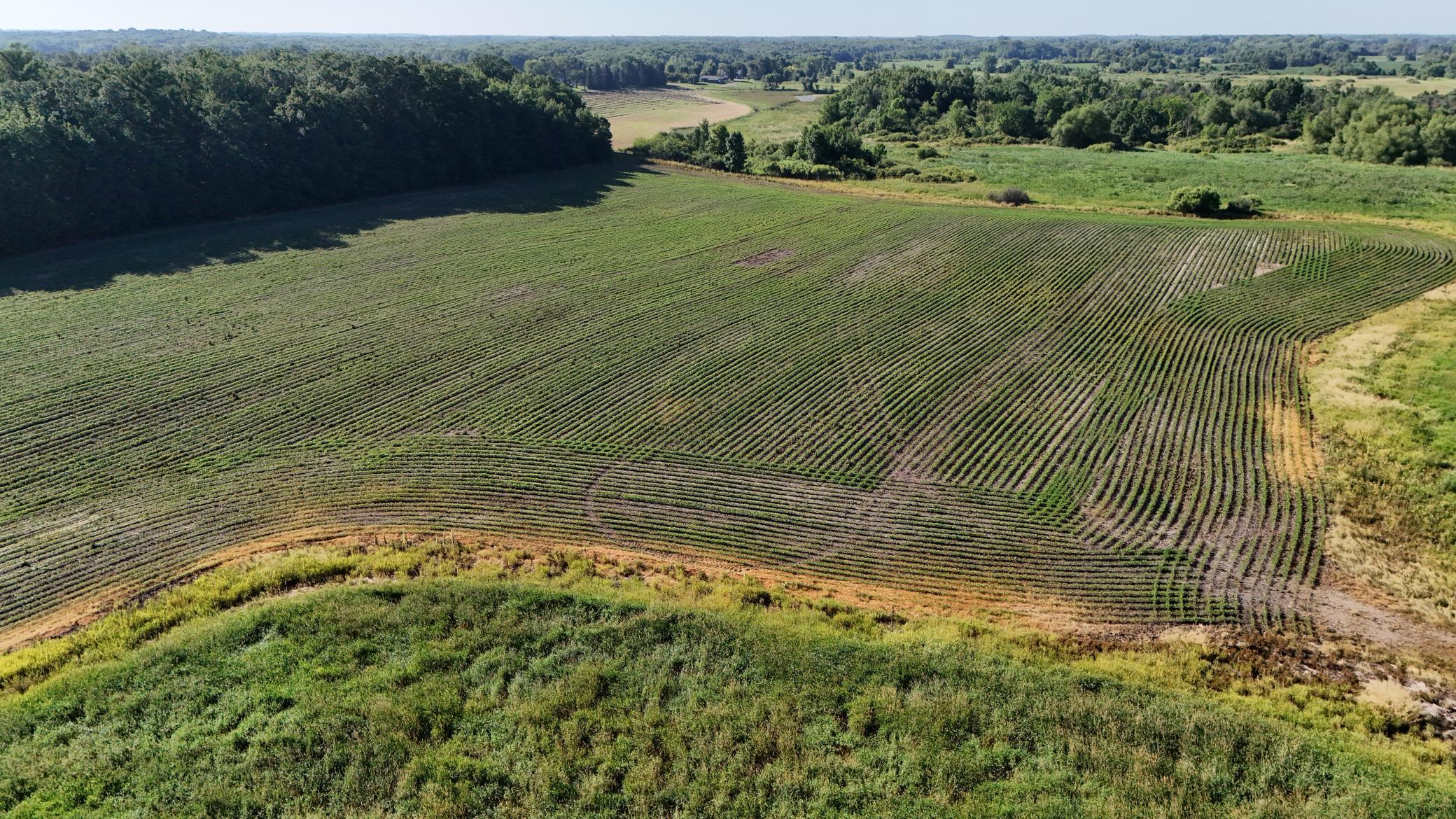 Tbd Nightingale Street Property Photo 36