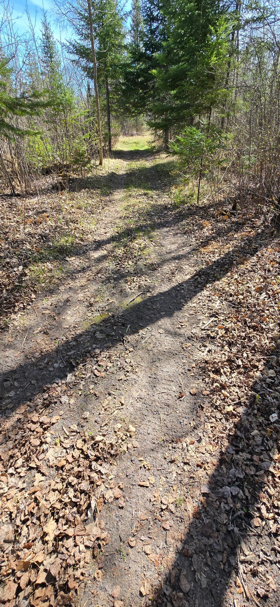 17801 Bear Creek Property Photo 7