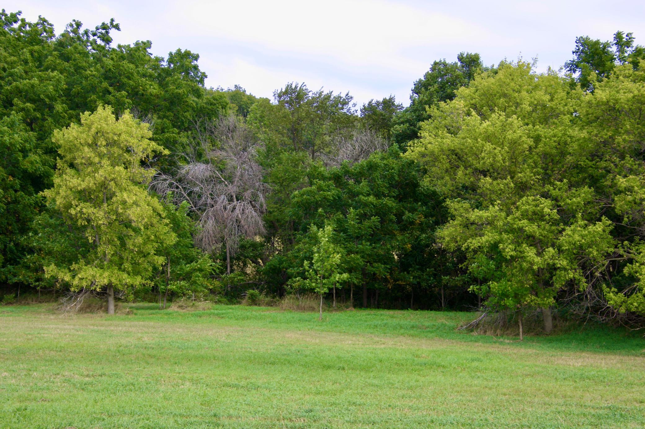 Tbd Highway 65 Property Photo 1