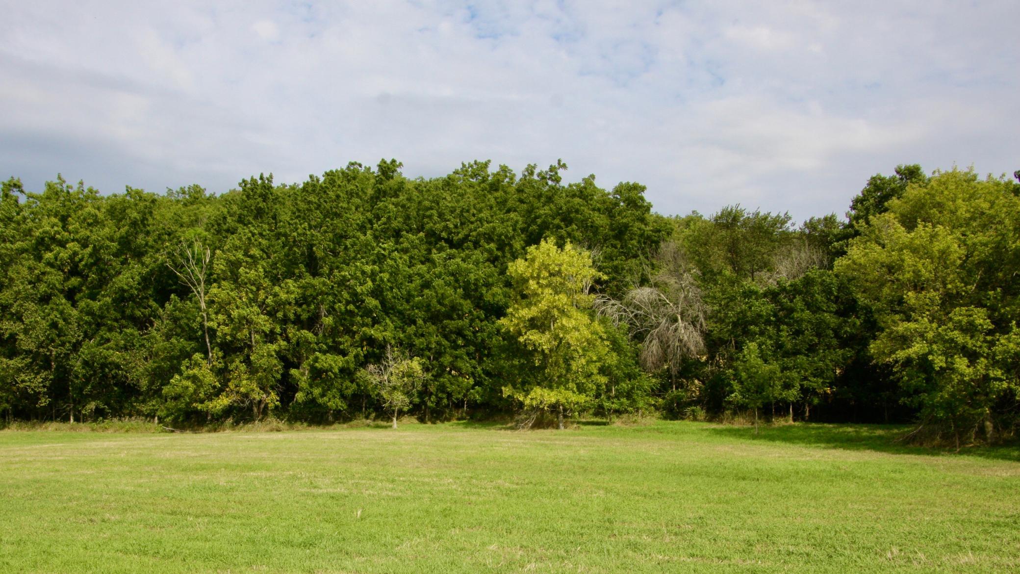 Tbd Highway 65 Property Photo 3