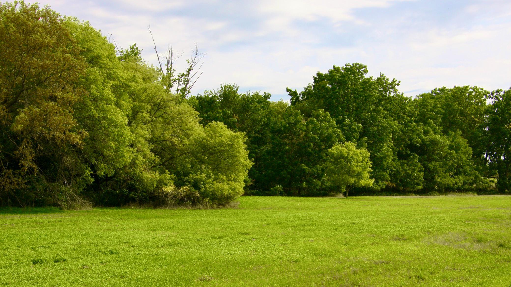 Tbd Highway 65 Property Photo 5