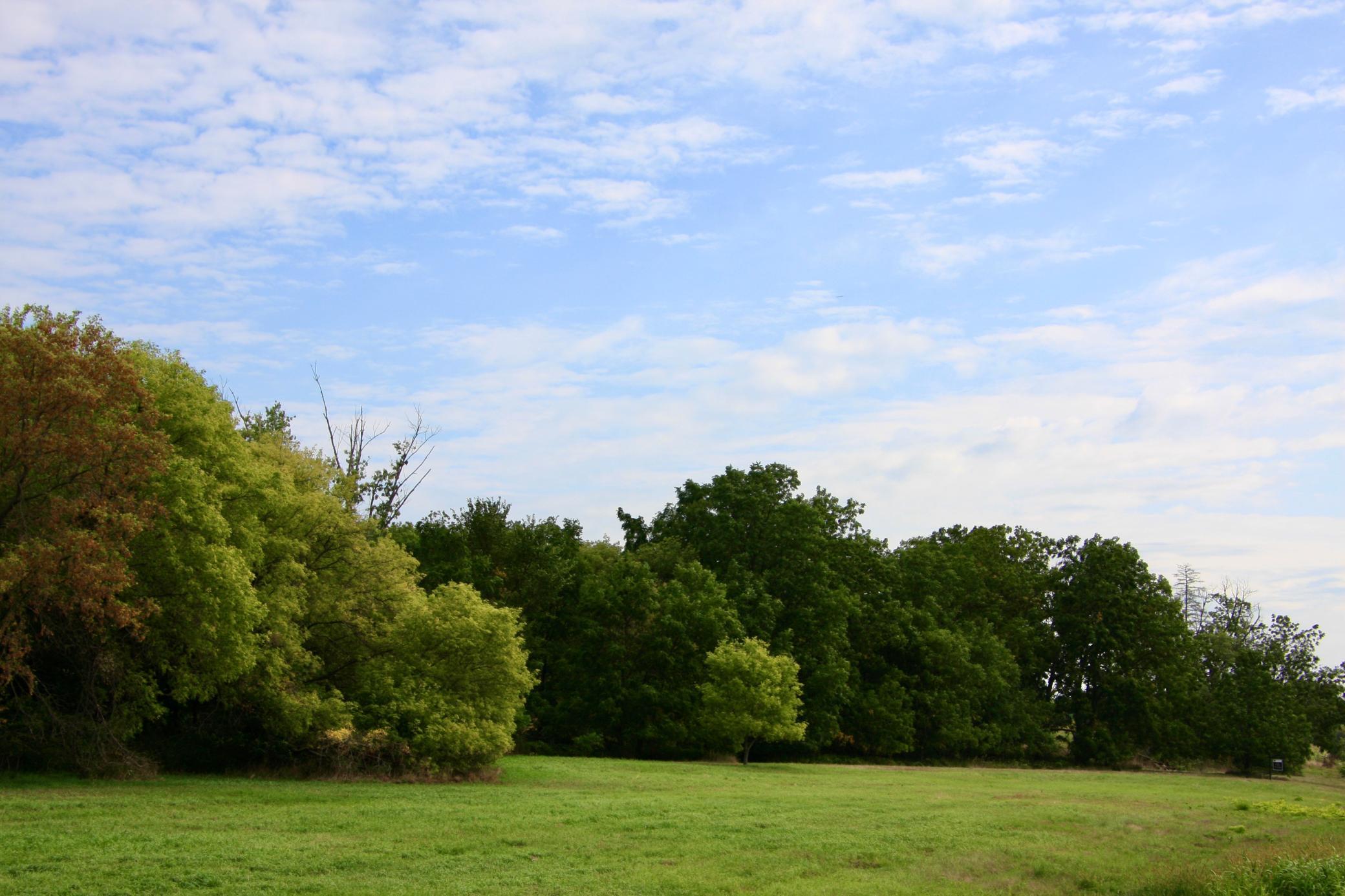 Tbd Highway 65 Property Photo 6