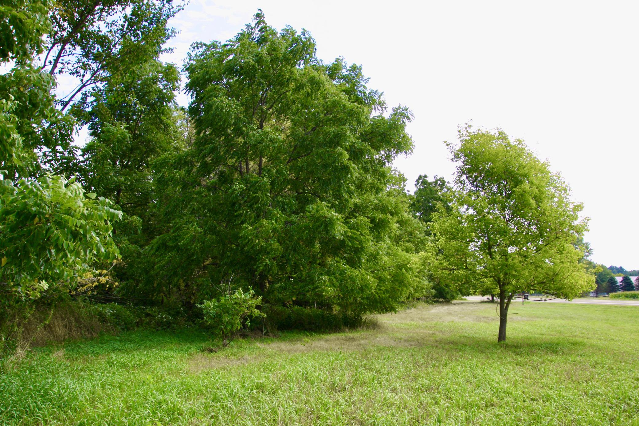 Tbd Highway 65 Property Photo 8