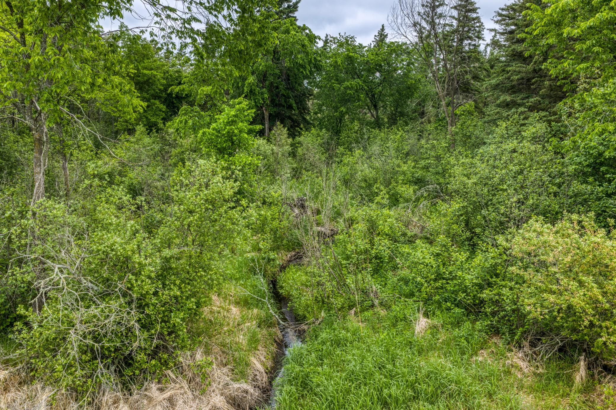 24058 County 2 Property Photo 49