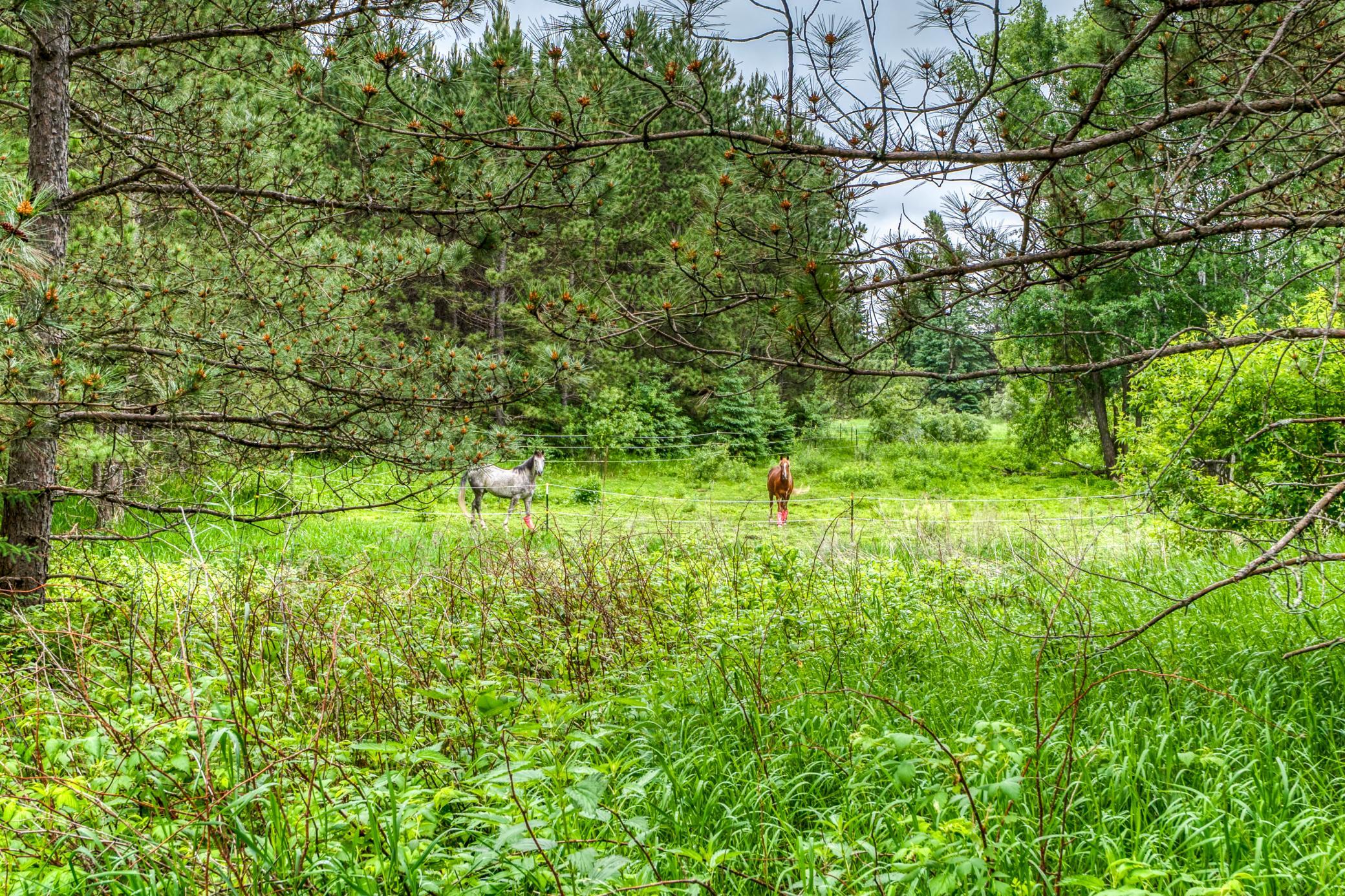 24058 County 2 Property Photo 59