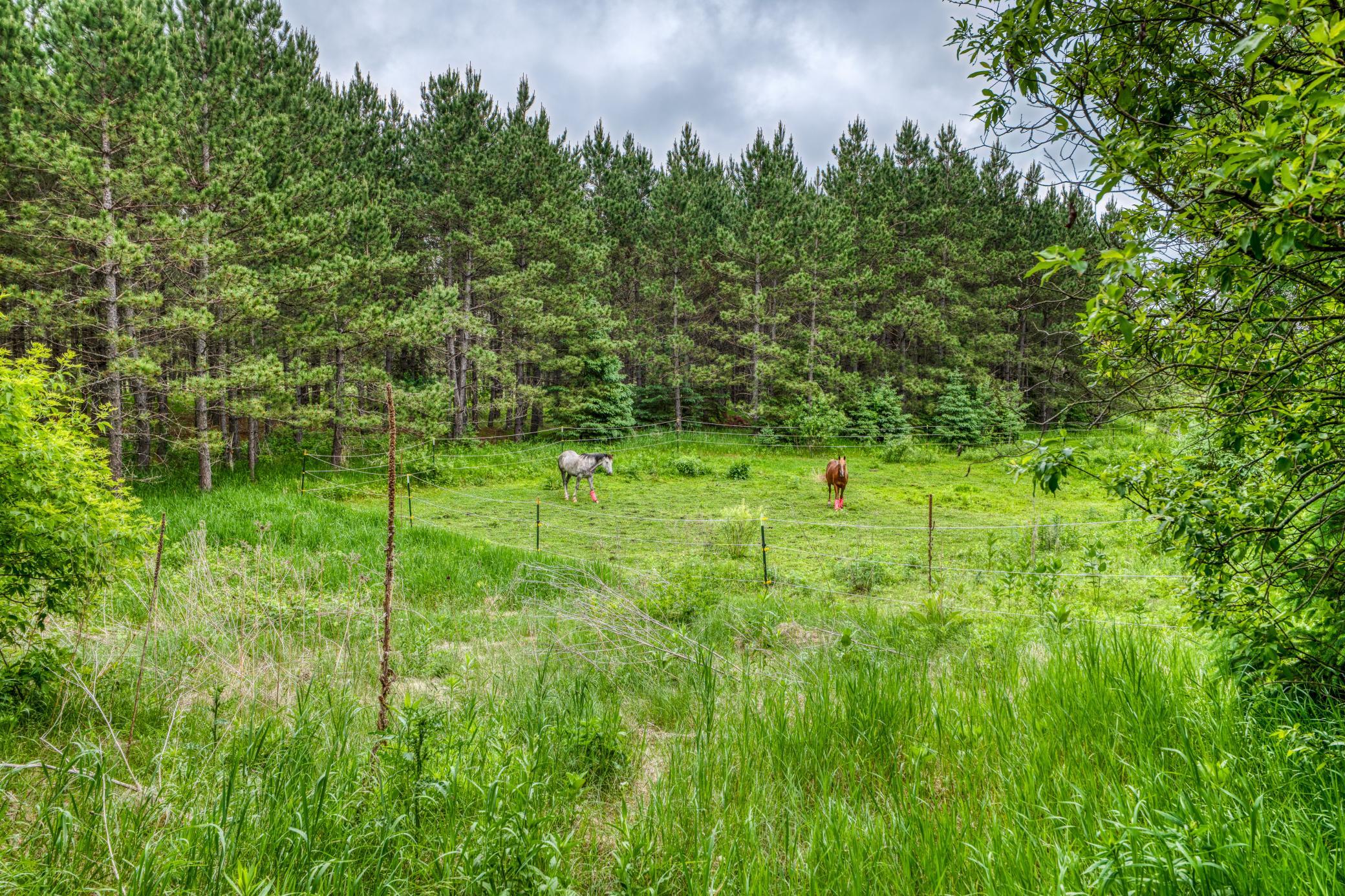 24058 County 2 Property Photo 60