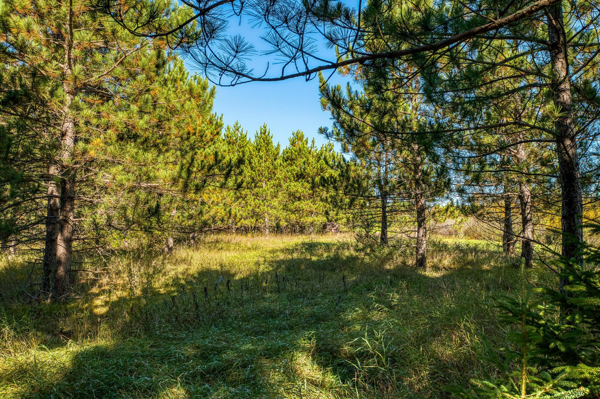 24058 County 2 Property Photo 126