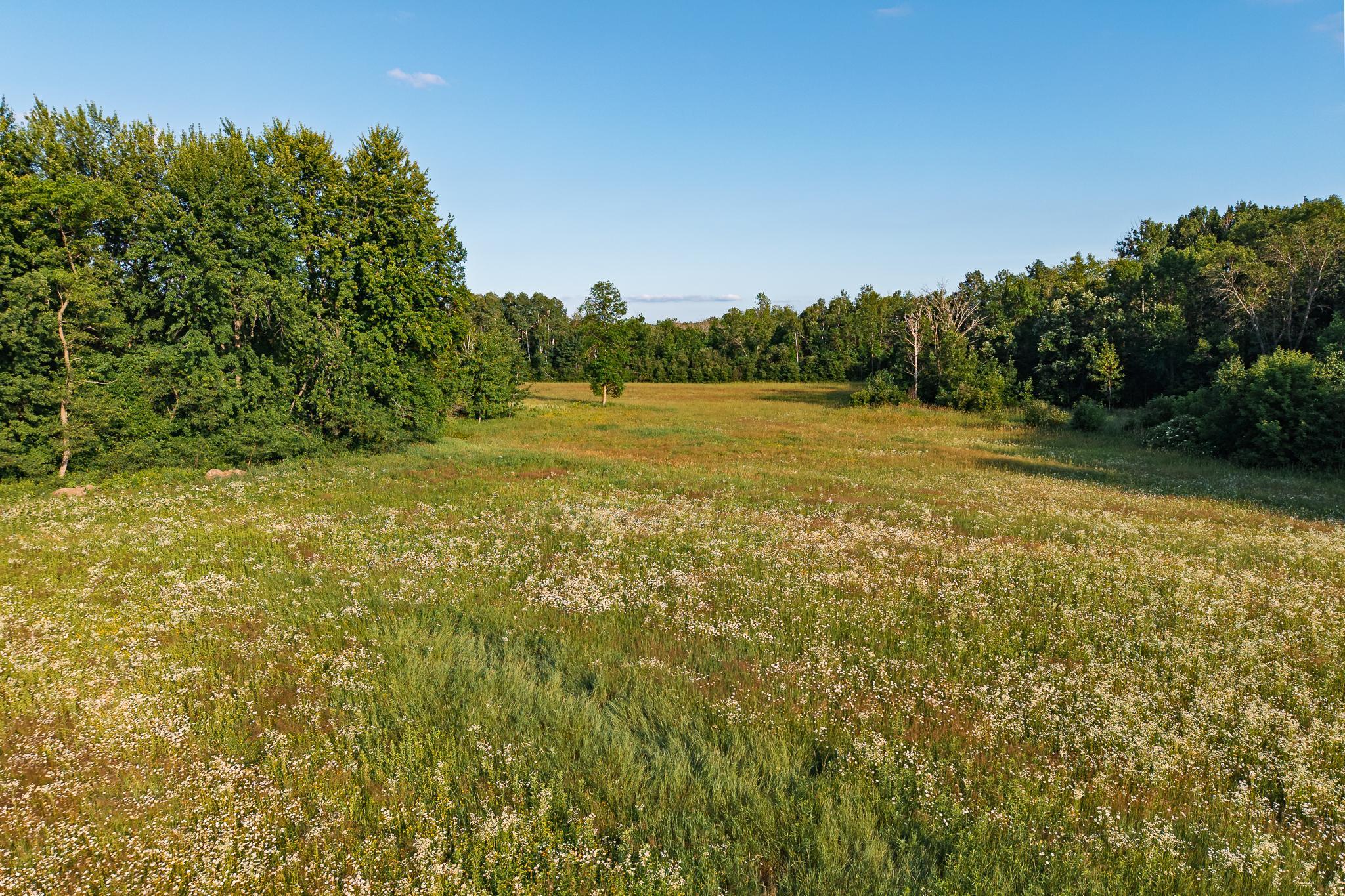 18467 Vineland Road Property Photo 5