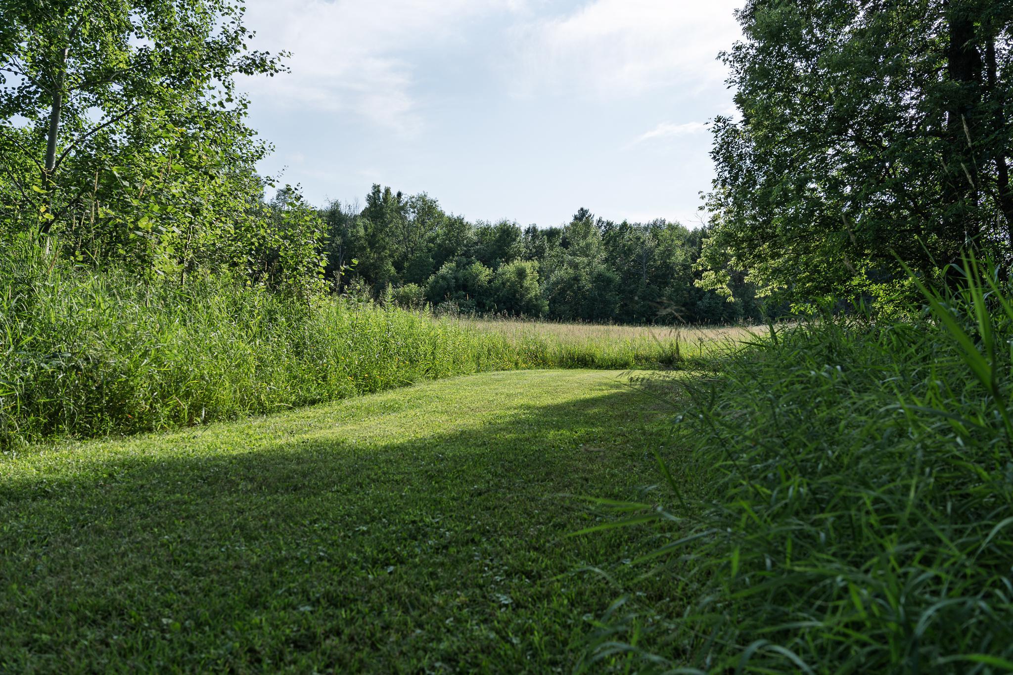 18467 Vineland Road Property Photo 14