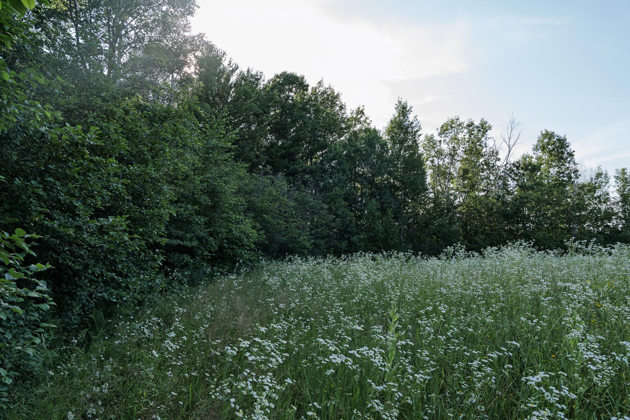 18467 Vineland Road Property Photo 32