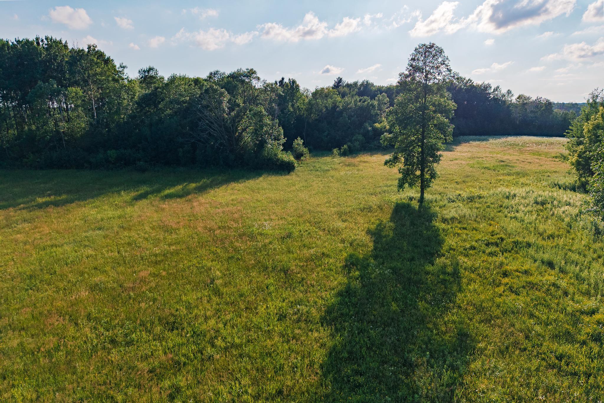 18467 Vineland Road Property Photo 33