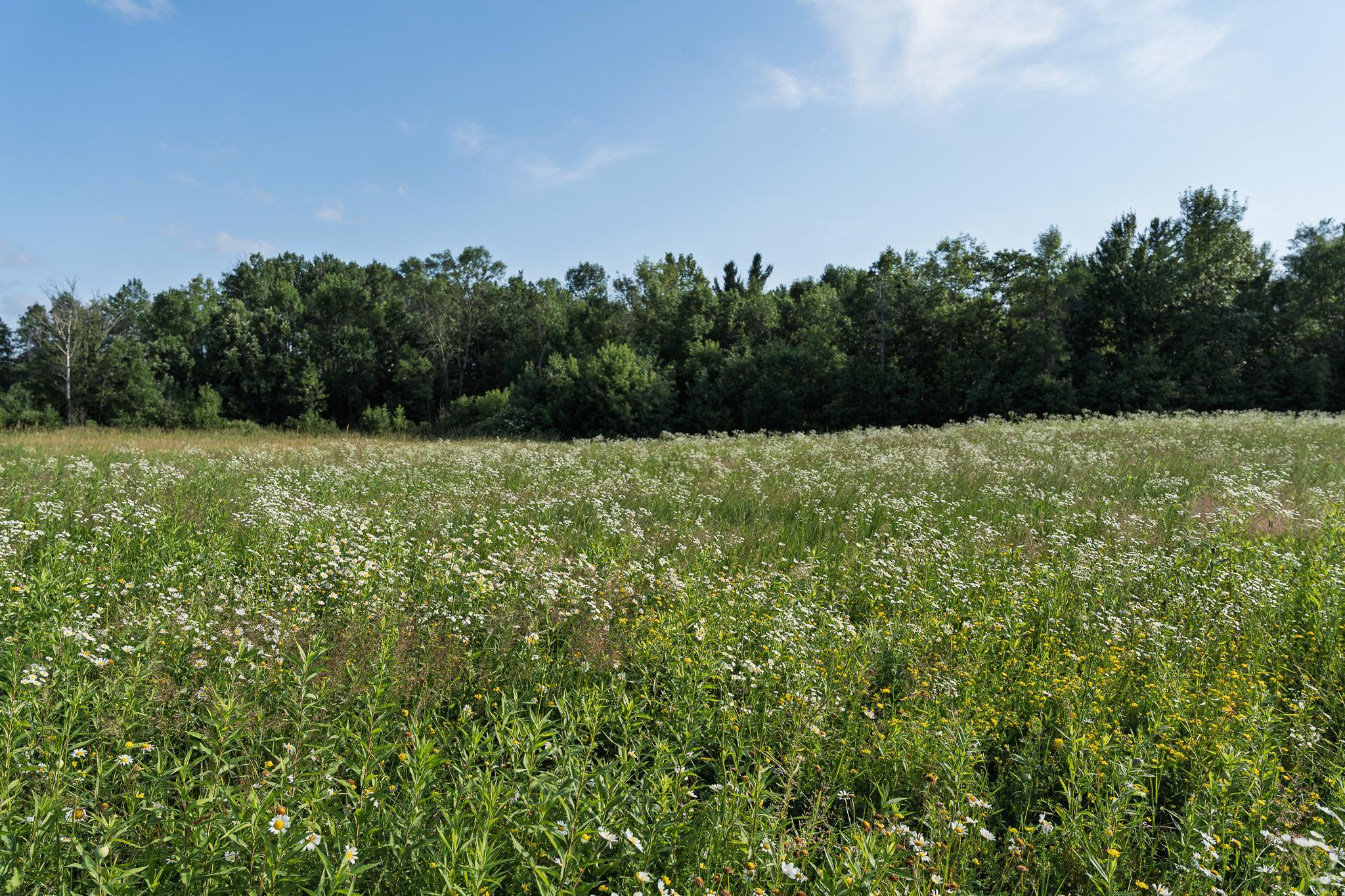 18467 Vineland Road Property Photo 36