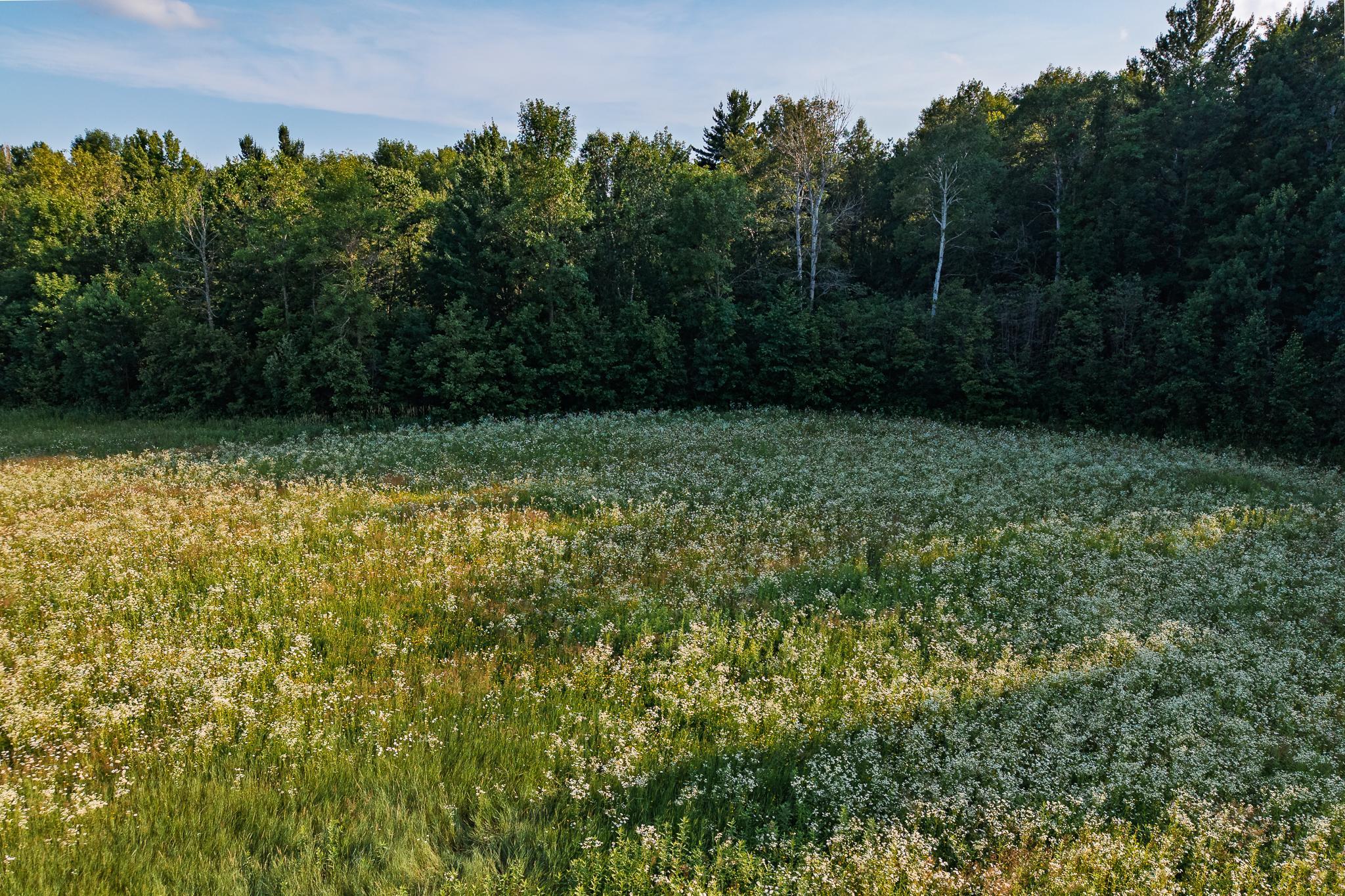 18467 Vineland Road Property Photo 41