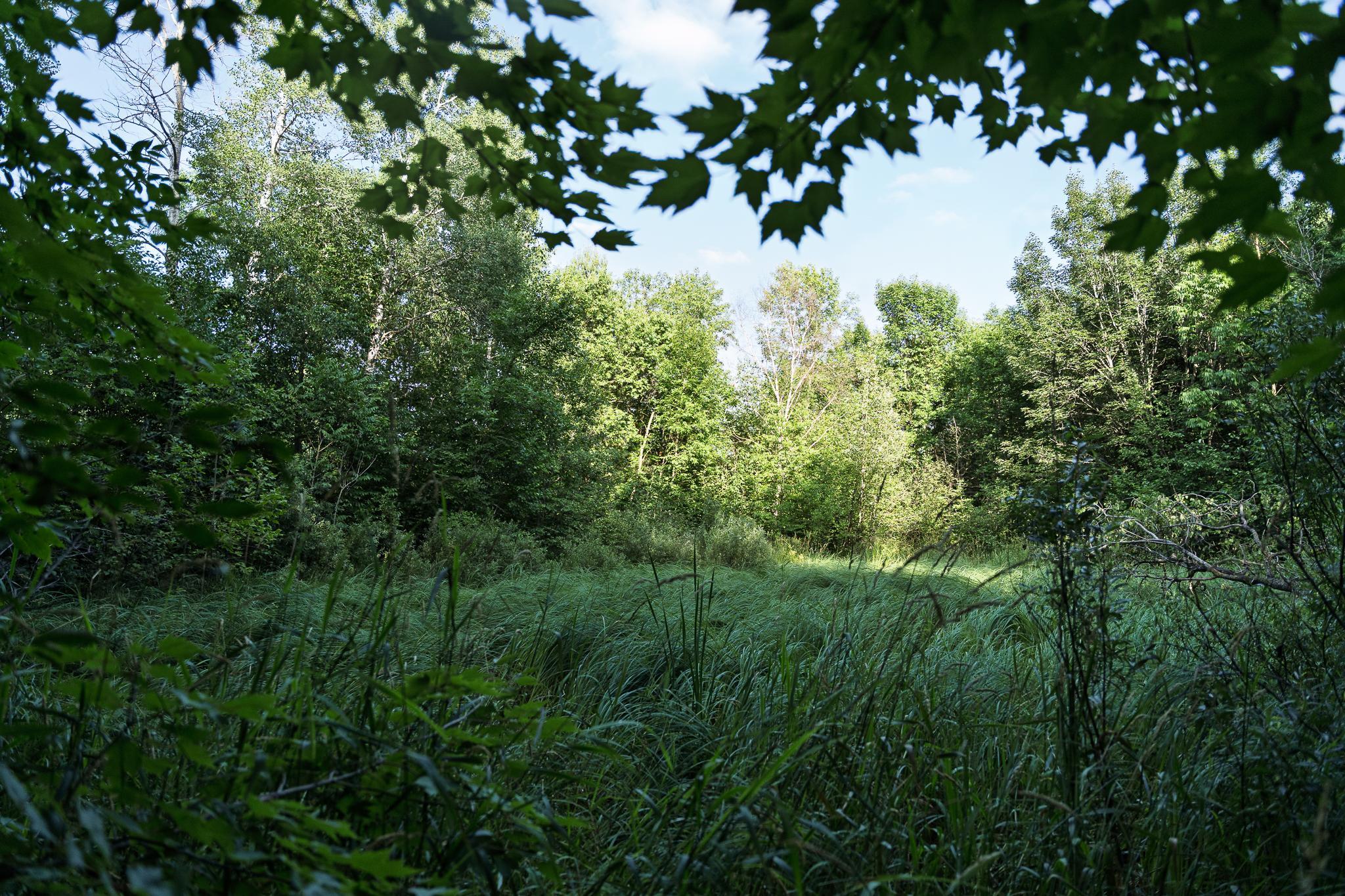 18467 Vineland Road Property Photo 43