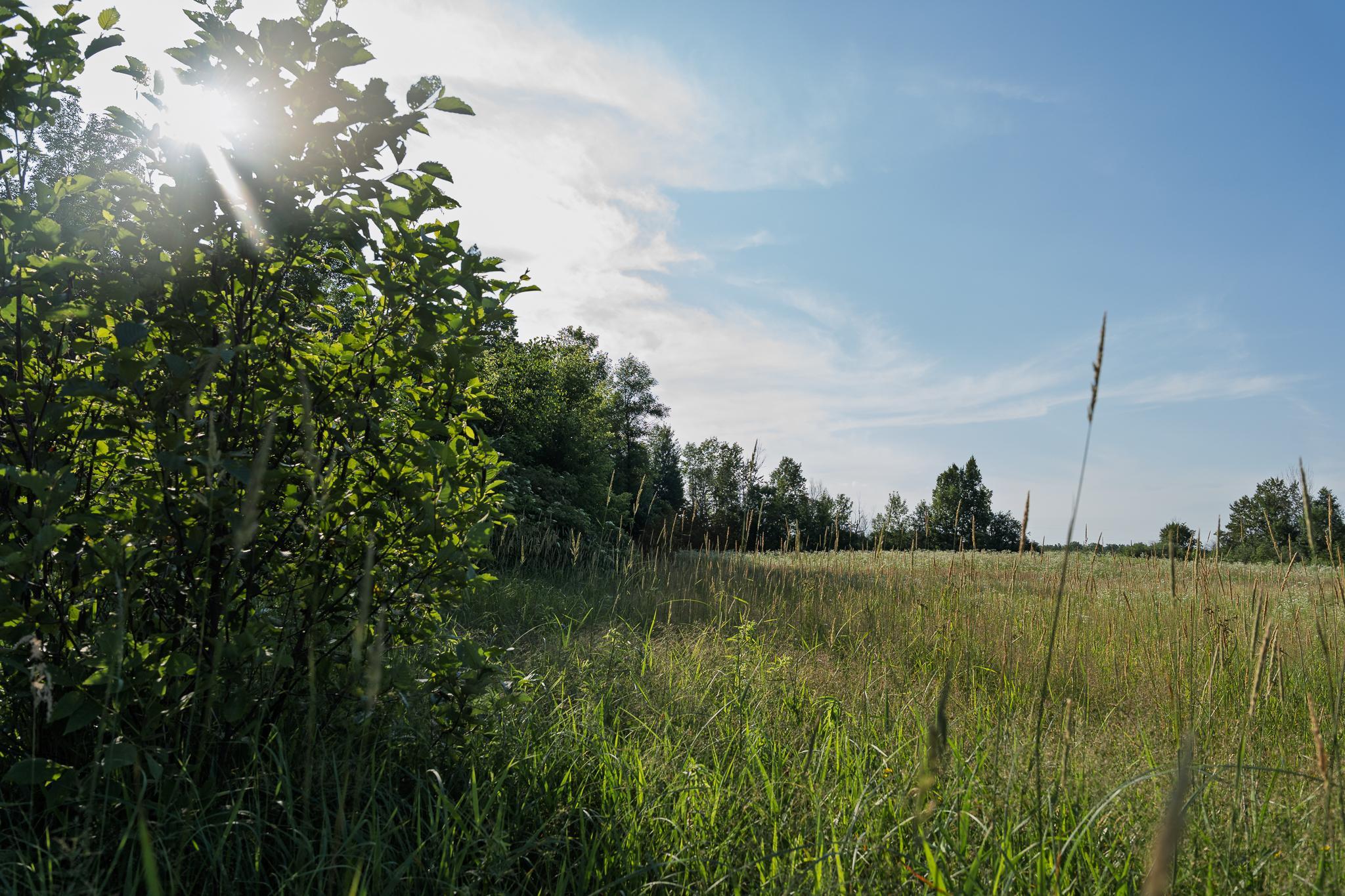 18467 Vineland Road Property Photo 46