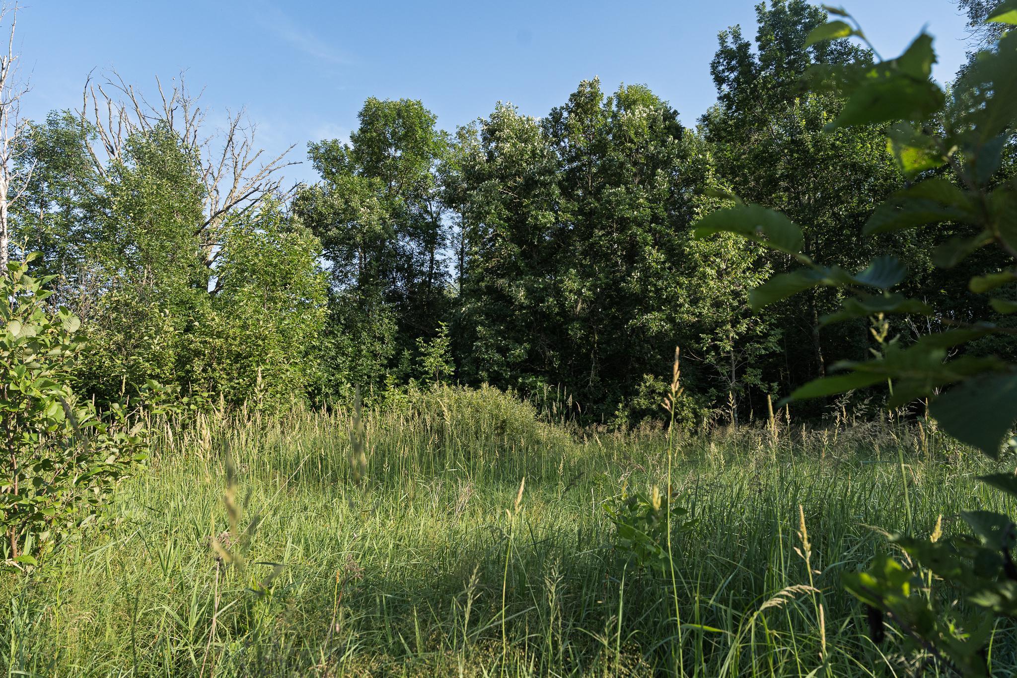 18467 Vineland Road Property Photo 48