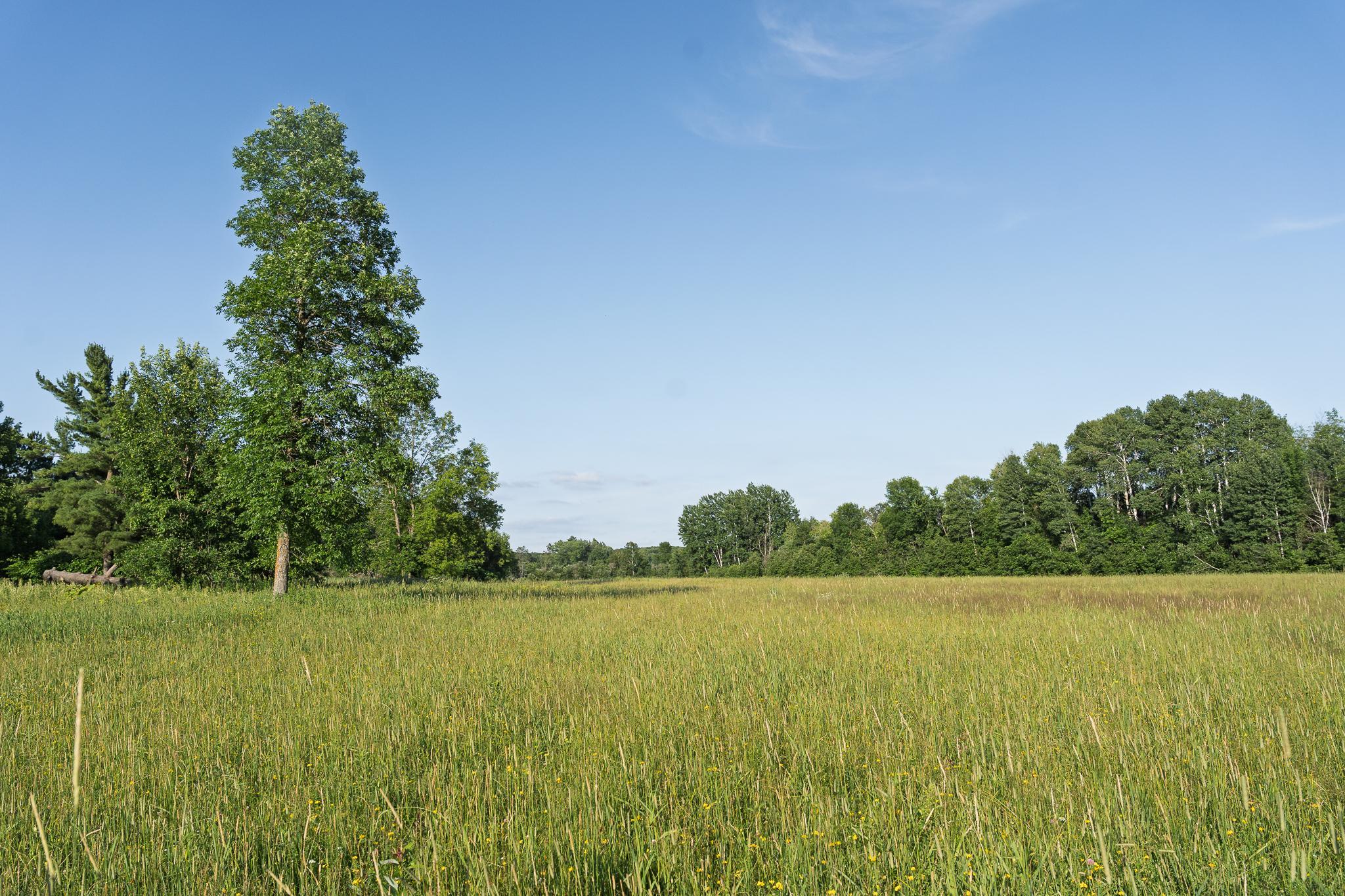 18467 Vineland Road Property Photo 49