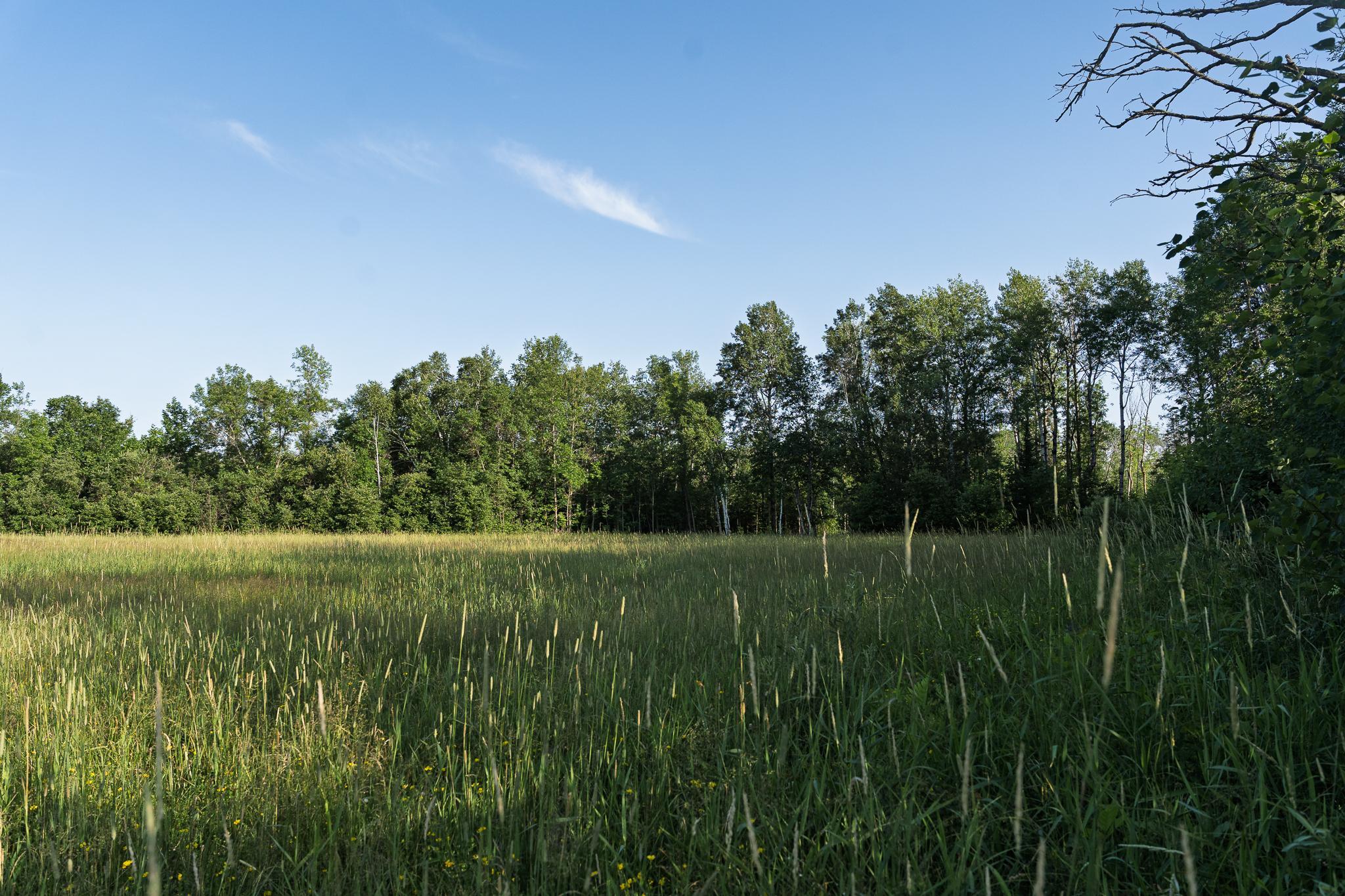 18467 Vineland Road Property Photo 51