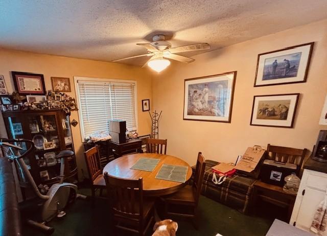 6843 York N Property Photo 3