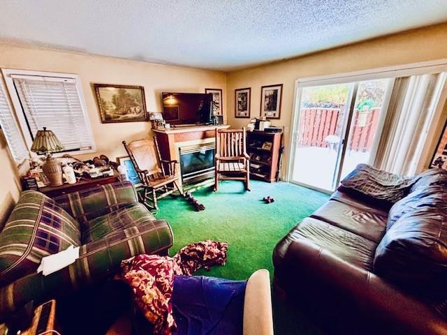 6843 York N Property Photo 4