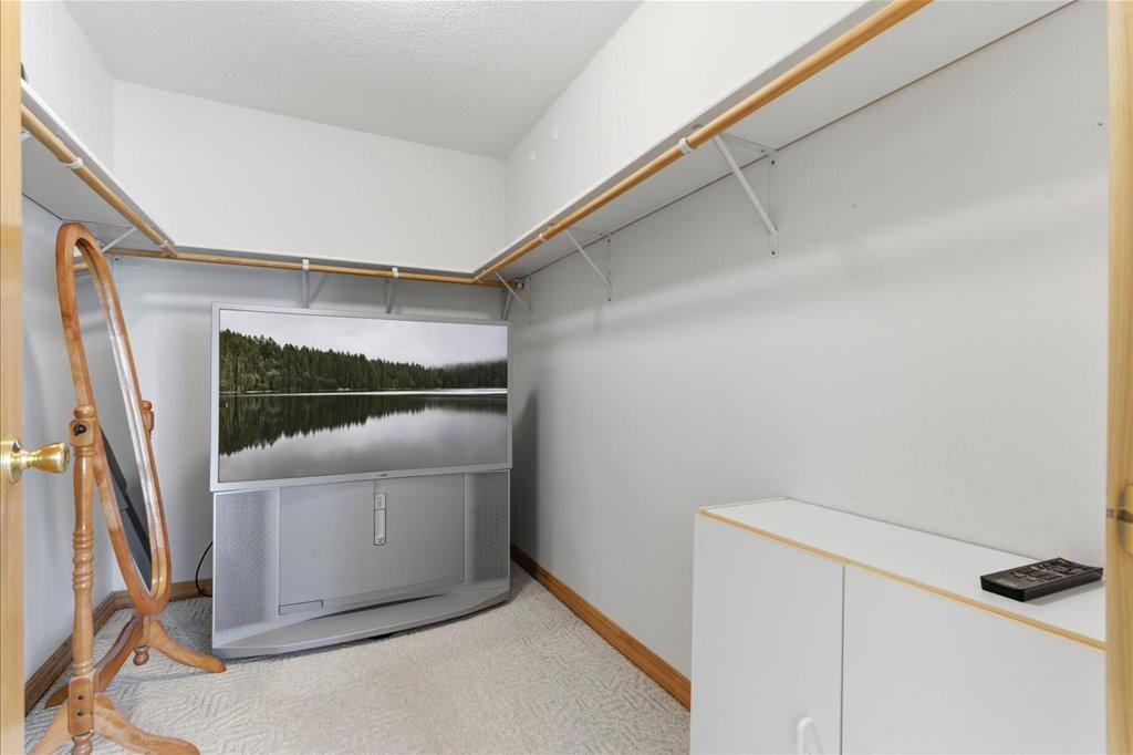 24175 White Pine Drive Property Photo 26